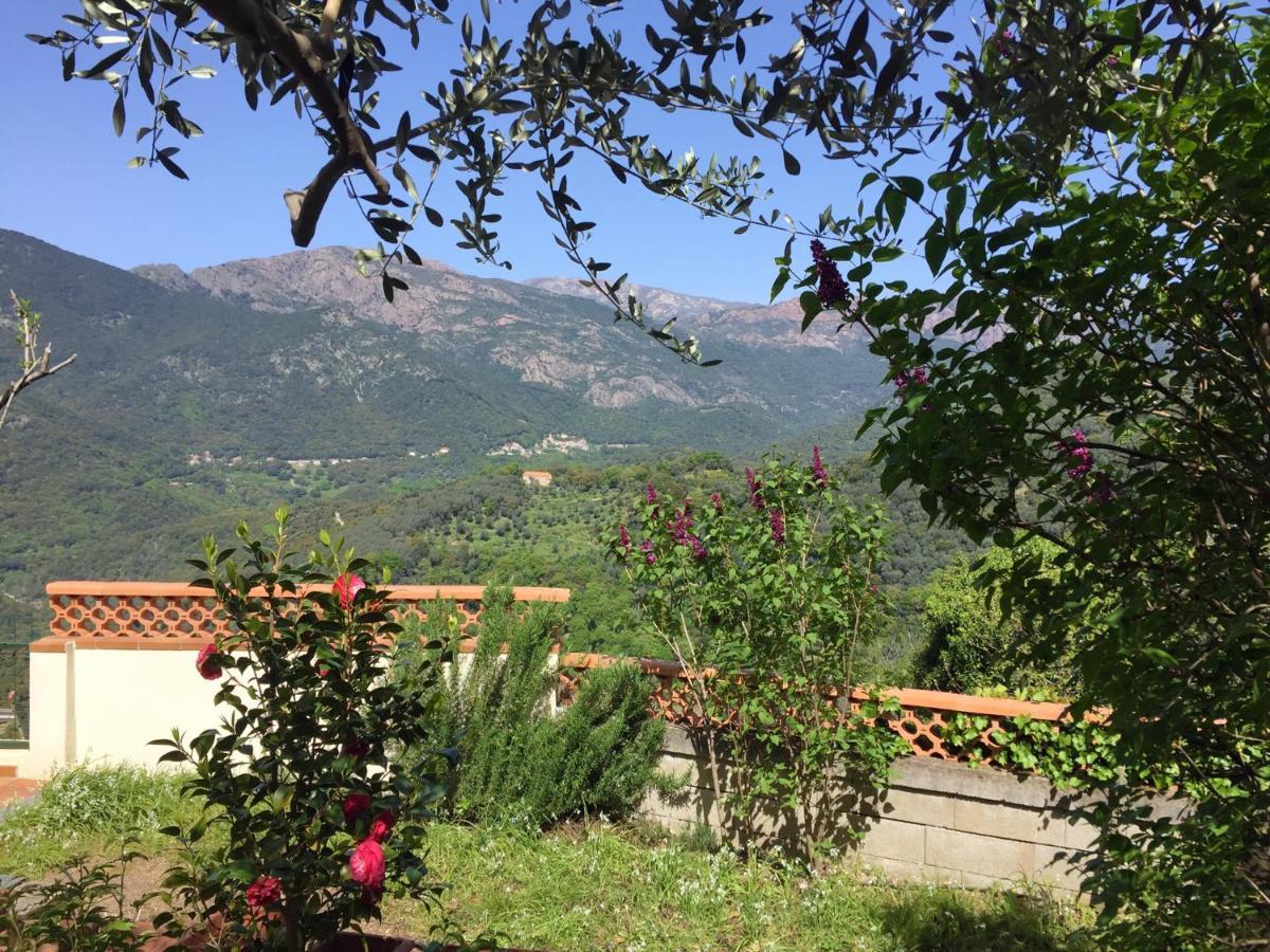 Casa Nepita Sur Vue Grandiose Apartment Santa-Lucia-di-Tallano Екстериор снимка